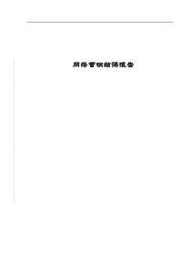 网络营销结课论文