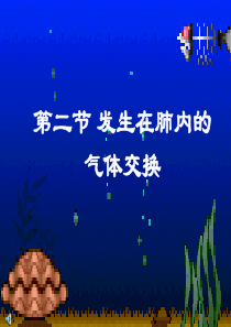 七年级生物下册 第四单元第三章第二节发生在肺内的气体交换6课件 人教新课标版