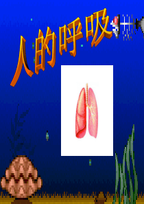 第二章人体的呼吸复习课件必用