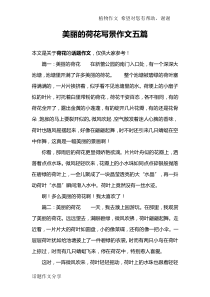 美丽的荷花写景作文五篇