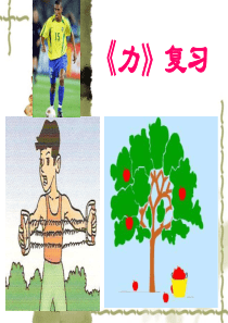 新人教版八年级物理下第七章《力》复习PPT