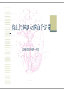 脑血管解剖及脑血管造影