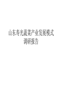 寿光蔬菜高效产业化经营调研报告(精)