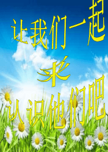 少儿英语字母教学课件