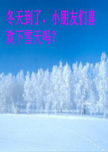 《雪地里的小画家》免费版课件