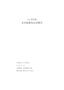 非煤矿山安全标准化自评报告