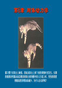 刚体动力学.