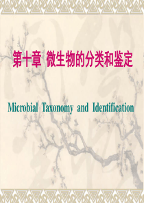 微生物的分类和鉴定