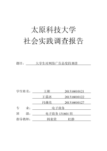 电子商务调查报告