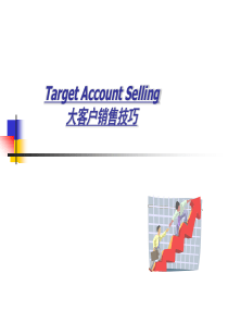大客户销售技巧Target_Account_Selling-yu