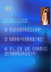 角膜组织工程
