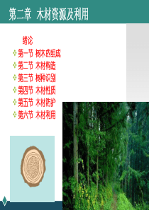 木材资源及利用