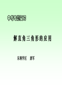 北师大版八年级上解直角三角形的应用