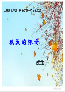 秋天的怀念说课课件