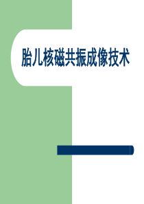 胎儿磁共振技术
