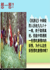 第八课 探问生命