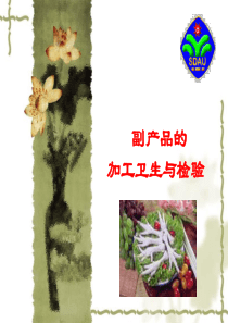 16副产品的加工卫生与检验