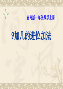 20以内的进位加法(9加几)