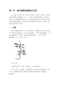 第一节-鼻及鼻窦的解剖及生理