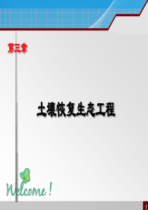 第三章土壤恢复生态工程