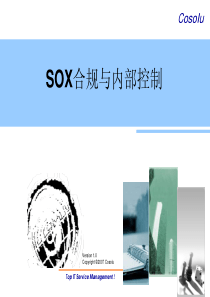 SOX合规与内部控制