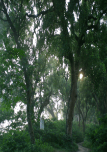 安缦酒店概念规划设计方案