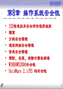 操作系统安全性