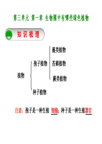 生物圈中有哪些绿色植物
