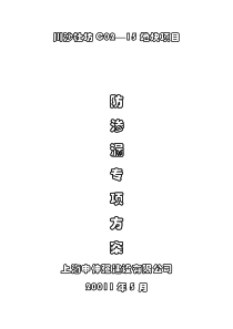 防渗漏专项施工方案