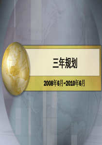 2008-XXXX抗衰老产品品牌三年规划