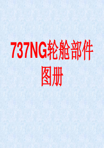 737NG轮舱部件图册