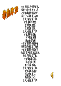 与老师面对面