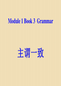高中英语必修3-module1-europe-grammar课件(外研版)