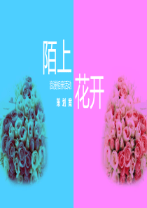 大型相亲活动方案