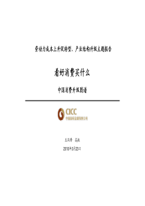 XXXX0323PPT_中国劳动力成本上升主题报告PPT