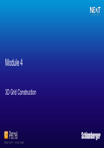 M4-5-Structural-Framework框架结构(Schlumberger-petrel教