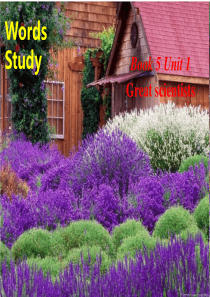 高中英语课件人教公开课词汇Book5Unit1.ppt