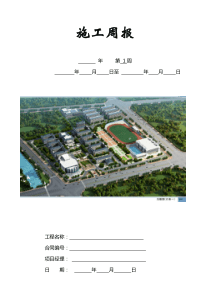 建筑工程施工周报(经典版本)
