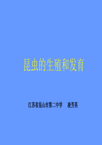 八年级生物昆虫的生殖和发育1