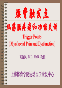 黄强民-腰背肌筋膜触发点治疗讲稿