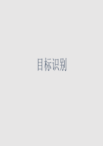 目标识别
