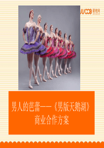 《男版天鹅湖》商业合作方案