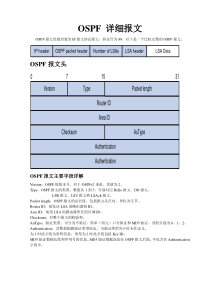 OSPF详细报文