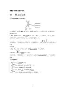 减数分裂中的染色体行为