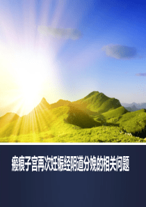瘢痕子宫再次妊娠阴道分娩的相关问题PPT医学课件