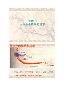 专题七人体生命活动的调节复习课件.
