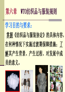 第六章-纺织品与服装规则及案例.