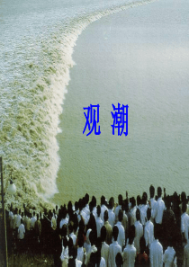 《观潮》课件
