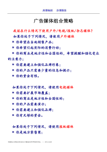 广告媒体组合策略