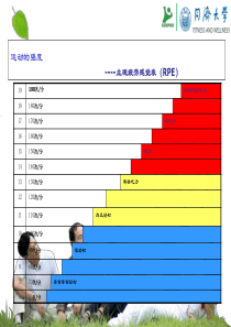 慢病防治运动处方